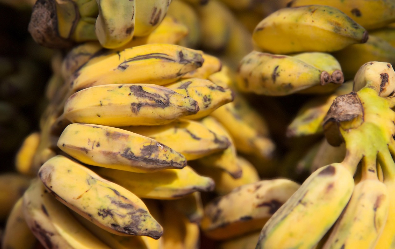 Banane mature su un tavolo, evidenziando il loro colore giallo brillante prima di essere messe in frigo.