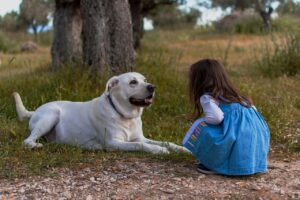 Un cane giocherellone accanto a un bambino sorridente in un ambiente domestico accogliente.