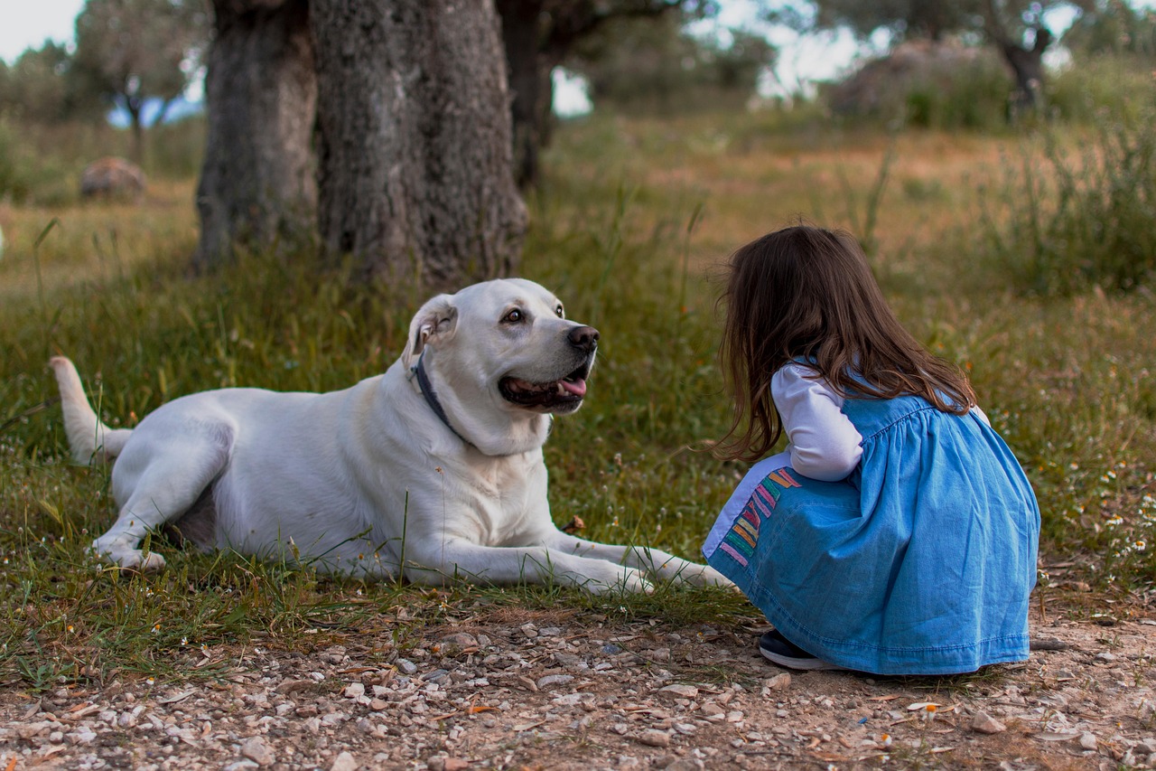 Un cane giocherellone accanto a un bambino sorridente in un ambiente domestico accogliente.