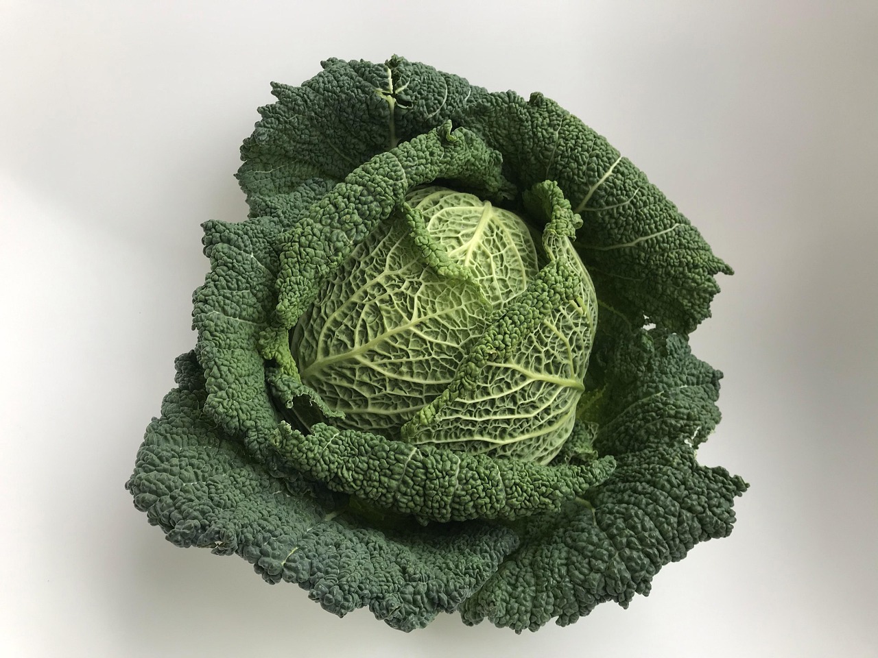 Cavolo nero toscano fresco, con foglie verde scuro, su sfondo naturale.