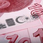 Moneta da collezione con simbolo della lira errato, rappresenta un raro errore di coniazione.